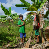 Jorge Luis og hans far er ude og høste bananer - foto: Juan Gabriel Estellano