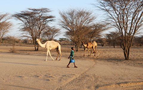 Maximilla_Turkana_Kenya_LineTrolle_Oxfam-(14)-825x520px.jpg