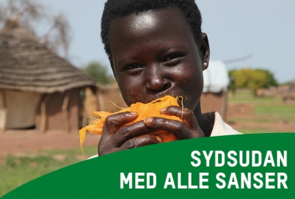 Sydsudan med alle sanser