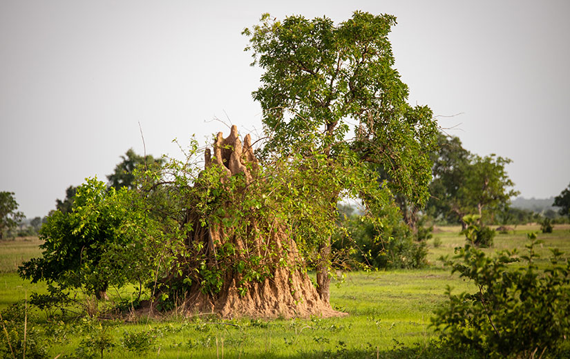 Ghanas landskaber