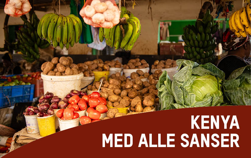 Kenya med alle sanser