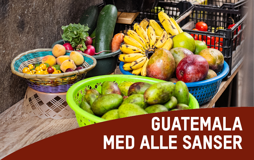 Guatemala med alle sanser
