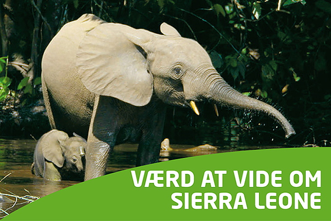 Værd at vide om Sierra Leone