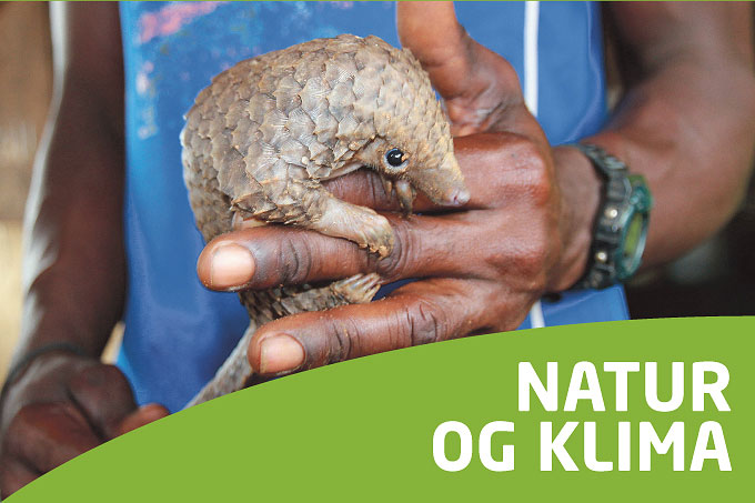 Natur og klima i Liberia