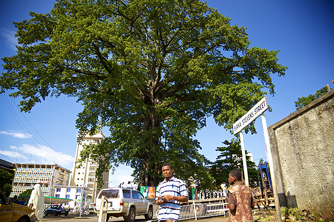 Bomuldstræet i Freetown