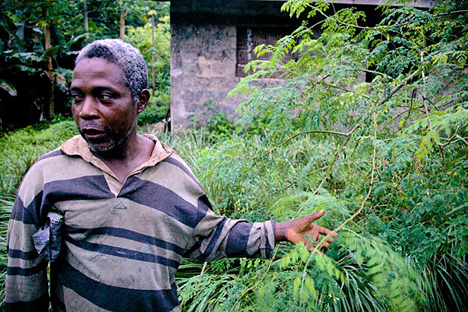 David drikker Moringa-te