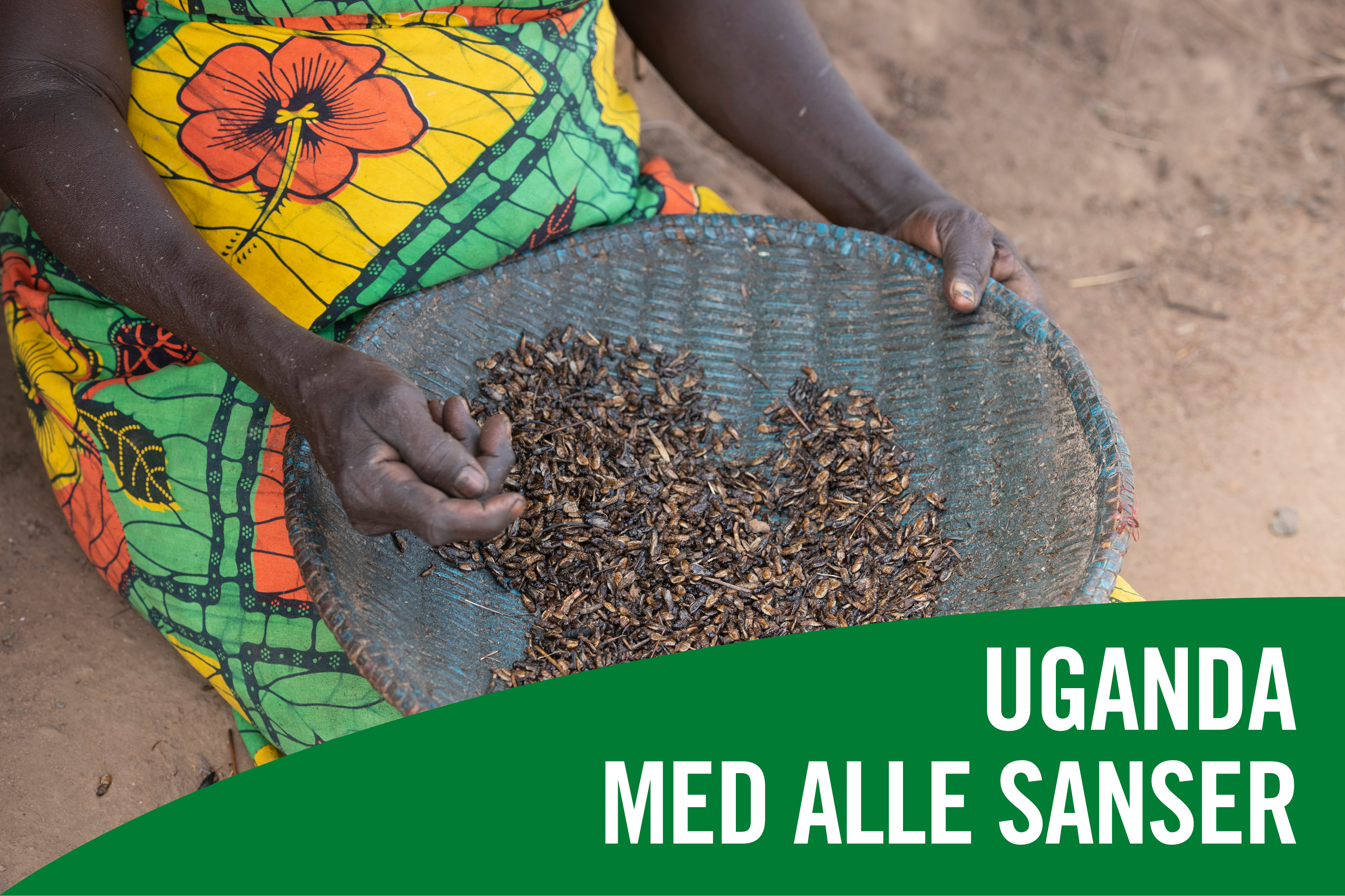 Uganda med alle sanser