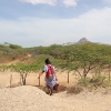 Om eftermiddagen skal der hentes vand. Det er varmt at gå gennem det ørken-agtige landskab. Hver elev har en spand. Vandetstilles klar til næste morgen, hvor eleverne vasker sig.  – Foto: Heidi Brehm