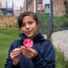 Langs hegnet rundt om skolen vokser blomster. Lucia elsker blomster. Hun kan ikke lade være med at plukke dem. – Foto: Andreas Beck  
