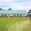 Joshua har ikke været på sin skole i mange måneder på grund af corona-nedlukningen. Græsset ved skolen har vokset sig højt foran skolens bygninger. Foto: Emmanuel Museruka