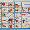 Der hænger også et lille billede af forskellige dyr. Dyrenes navne står både på engelsk og på arabisk. - Foto: William Vest-Lillesøe