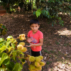Carlito viser nogen af de frugter, hans familie har i deres have - foto: Juan Gabriel Estellano