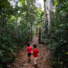 Carlito og Denis går en tur inde i regnskoven - foto: Juan Gabriel Estellano