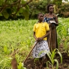 Når familien arbejder på andres marker tjener de 4000 shillings per dag. Det svarer til 10 danske kroner. - Foto: Emmanuel Museruka