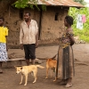 I dag er hendes forældre hjemme i huset, da Nyirambere kommer fra skole. - Foto: Emmanuel Museruka