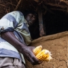 Fatoumatas onkel Dramané viser, hvor de opbevarer majsene, når de er høstet. De er ikke så lette at få fat i. Foto: William Vest-Lillesøe