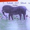En elev har tegnet denne flotte elefant på en skole tæt ved Juba  Foto: Irene Frederiksson