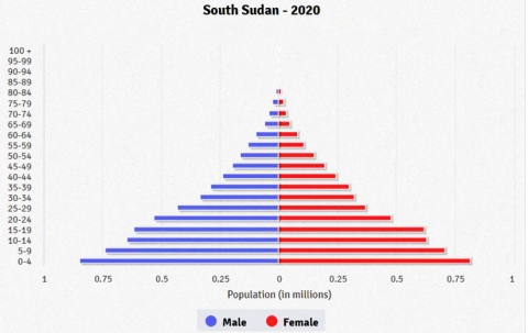 CIA worldfactbook Sydsudans demografi