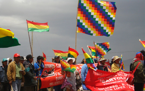 Bolivias to flag