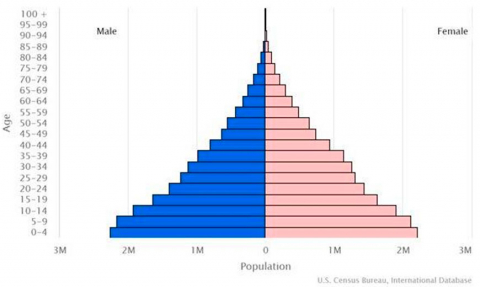 Befolkningspyramide