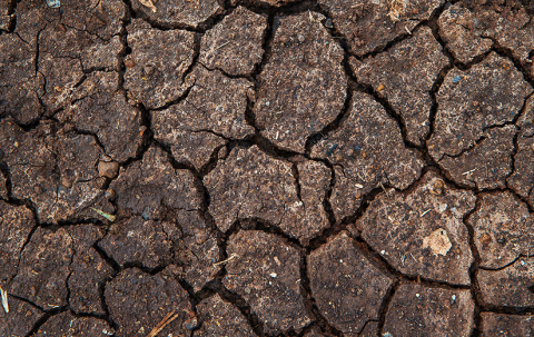 ry-mud-with-cracks.-Kawangware,-Nairobi,-Kenya.-Victor-Wahome-825x520px.jpg