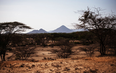 Stepper-og-halvørken-maximilla_turkana_hansbach_oxfam-160-825x520px.jpg