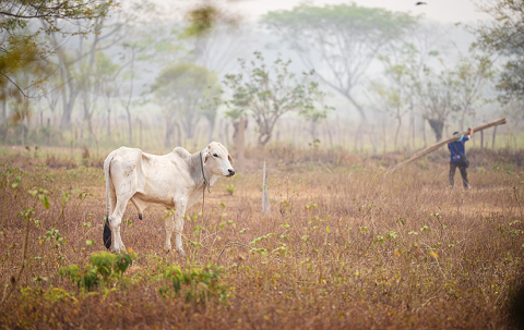 Cheily_SepurZarco_Guatemala_foto_HansBach-8_825x520px.jpg