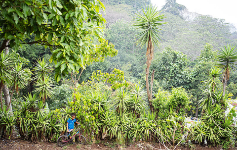 Juan-Carlos_NuevaSantaRosa_Guatemala_foto_HansBach-1844_825x520px.jpg